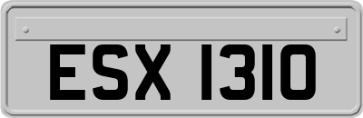 ESX1310
