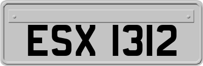 ESX1312