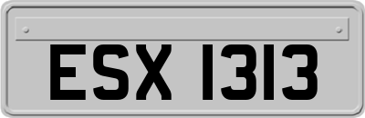 ESX1313