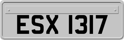 ESX1317