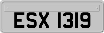 ESX1319