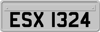 ESX1324