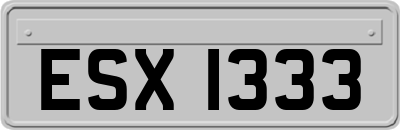 ESX1333