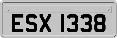 ESX1338
