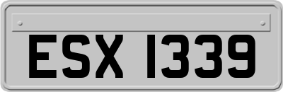 ESX1339