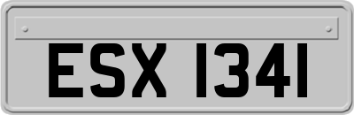 ESX1341