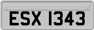 ESX1343