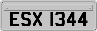 ESX1344