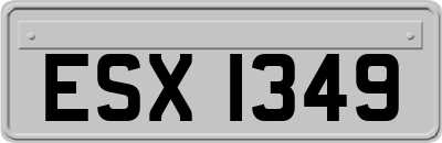 ESX1349
