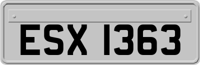 ESX1363
