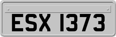 ESX1373