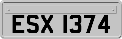 ESX1374