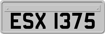 ESX1375