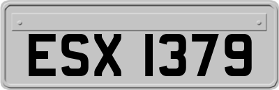 ESX1379