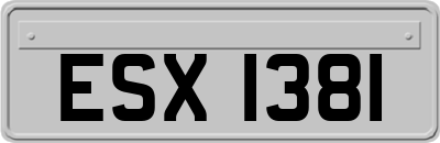ESX1381