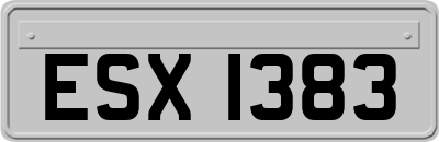 ESX1383