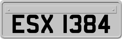 ESX1384