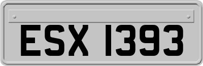 ESX1393