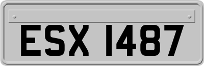 ESX1487