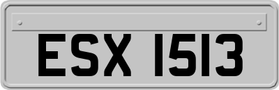 ESX1513