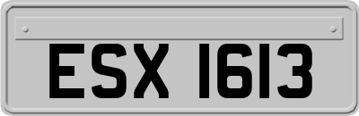 ESX1613