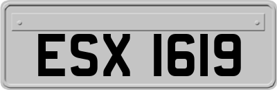 ESX1619