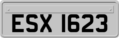 ESX1623
