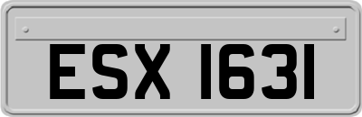 ESX1631