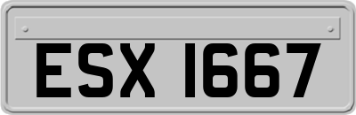 ESX1667