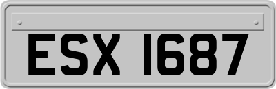 ESX1687