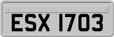 ESX1703