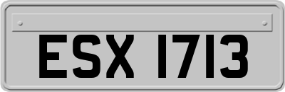 ESX1713