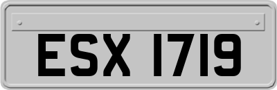 ESX1719