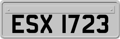 ESX1723