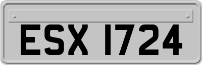 ESX1724