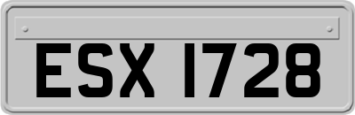 ESX1728