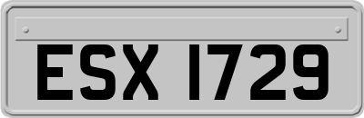 ESX1729