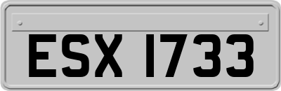 ESX1733