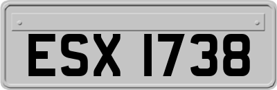 ESX1738