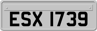 ESX1739