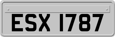 ESX1787