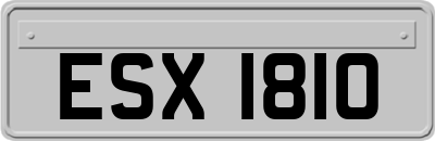 ESX1810