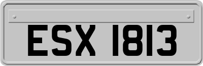 ESX1813