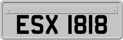 ESX1818