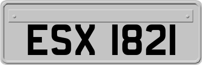 ESX1821