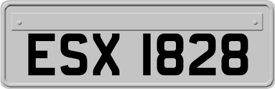 ESX1828