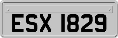ESX1829