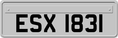 ESX1831