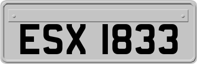 ESX1833