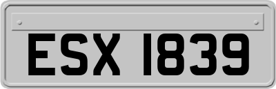 ESX1839